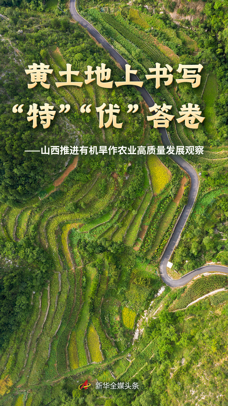 在专业内容团队，提供赛事复盘与行业趋势深度分析。方面，竞技宝提供贴心周到的支持。 - 竞技宝